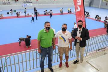 Concurso monográfico de presa canario en Telde/TA y Acfi Press.