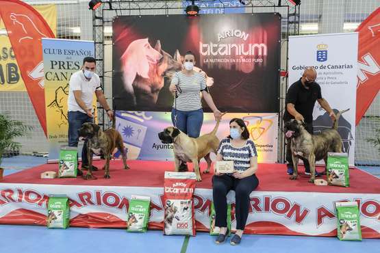 Concurso monográfico de presa canario en Telde/TA y Acfi Press.
