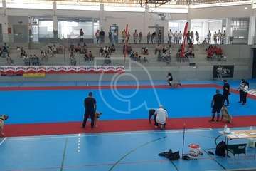 Concurso monográfico de presa canario en Telde/TA y Acfi Press.