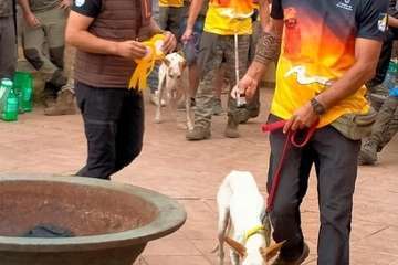 Norte de Gran Canaria gana en Telde el Campeonato de Canarias de Caza Menor con duras críticas de la edila Saavedra/TA.