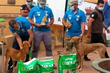 Norte de Gran Canaria gana en Telde el Campeonato de Canarias de Caza Menor con duras críticas de la edila Saavedra/TA.