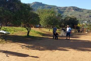El Club de Bola y Petanca Avestruz (Telde celebra un encuentro de confraternización/TA.
