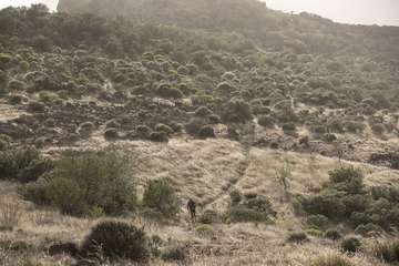  La teldense Sandra Moreno, tercera clasificada en la WAA 360 The Challenger/TA.