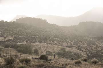  La teldense Sandra Moreno, tercera clasificada en la WAA 360 The Challenger/TA.