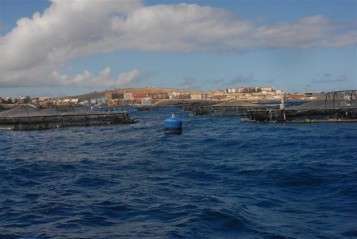 Jaulas de acuicultura en la costa de Telde (TA)