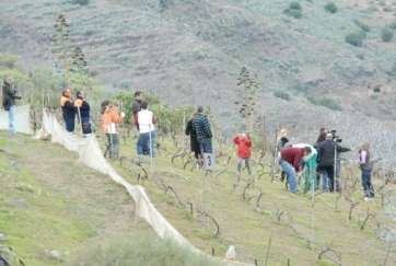 Imagen de archivo de la Finca del Viso (Foto TA)