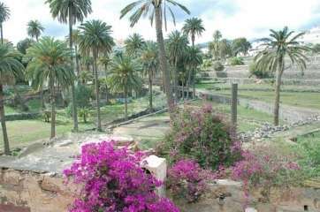 Finca La Herradura (Foto TA)