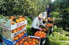 Agricultura ofrece un curso de manipulador de alimentos en julio y agosto (Foto TA)