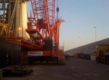 Grúa de Grosa (Foto TA)