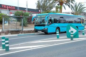 Guaguas de Global (Foto TA)