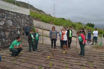 Imagen de archivo de la finca del Viso (Foto TA)