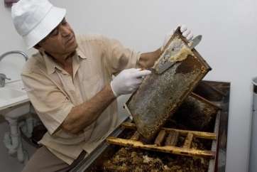 El apicultor José Florido (Foto Canariasahora.com)