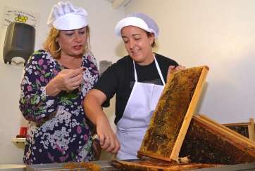 Castellano (i) y Carmen Florido (d), durante el proceso de desoperculación de un panal (Foto TA)