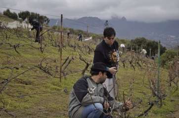 Finca del Viso (Foto TA)