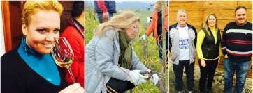 Cata de vino y corte de la vida en la finca del Viso (Foto TA)