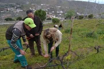 Imagen de archivo de un encuentro de agricultores en Telde (Foto TA)