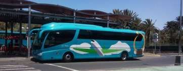 Guagua de Global (Foto TA)