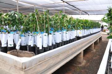 Imagen de archivo (Foto TA)