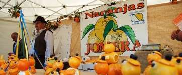 Imagen de uno de los stand participantes en la edición 2013 de la Feria de la Naranja de Telde (Foto TA)