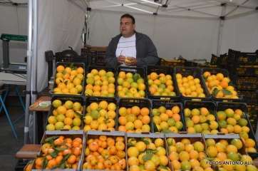 Imagen de archivo de un puesto de venta de naranjas de Telde en la última Feria de la Naranja (Foto TA)