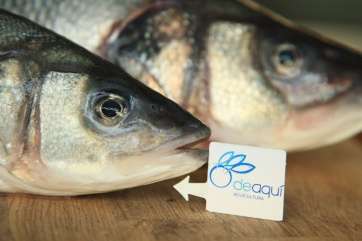 Ejemplares identificados (Foto TA)