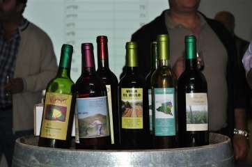 Vinos de Montaña Las Palmas-Telde (Foto TA)