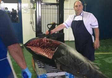 Daniel González, gerente del restaurante, participó en el despiece del pescado (Foto TA)