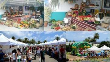 Composición fotográfica con imágenes de la Feria insular de Ganado (Foto TA)