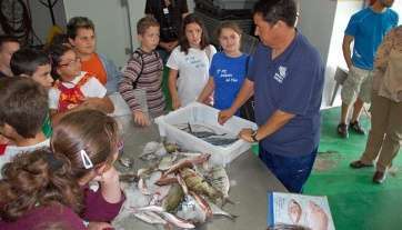 Imagen de archivo de una visita de escolares a la lonja de la Cooperativa de Pescadores de Melenara (Foto TA)