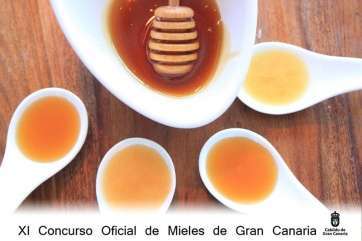 Concurso de mieles de Gran Canaria (Foto TA)
