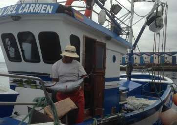 Capturas de atún del norte en Taliarte (Foto TA)