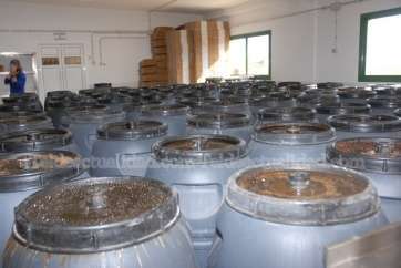 Imagen de archivo de la almazara de Los Olivos-Telde (Foto TA)