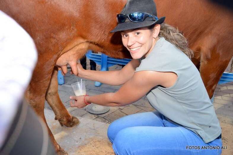 Imagen de archivo de una ganadera de Telde ordeñando a una vaca (Foto Antonio Alí)