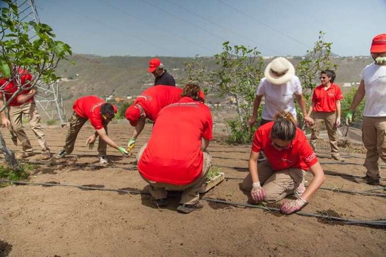 Los trabajadores de Altadis colaboraron con los voluntarios de Adesco (Foto TA)
