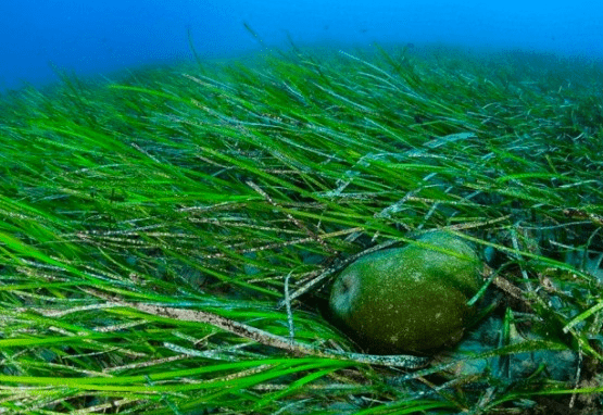 La charla comenzará a partir de las 11.30 horas (Foto TA)