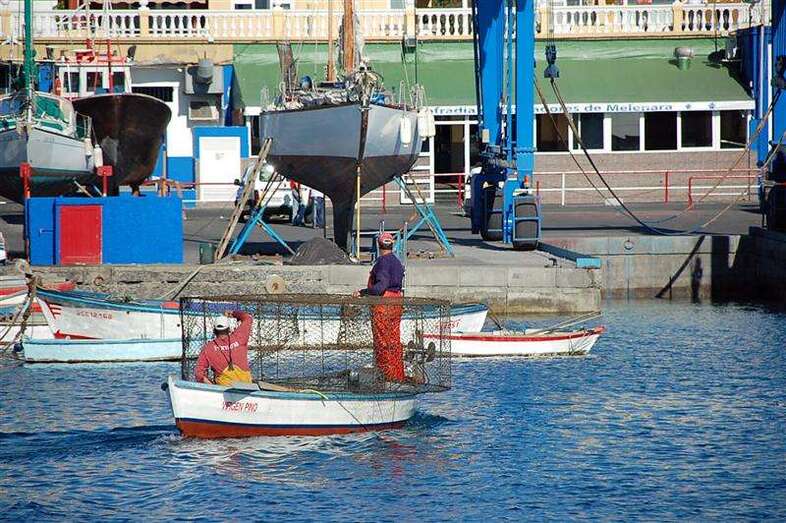 Pescadores en el muelle deportivo-pesquero de Taliarte (Foto TA)