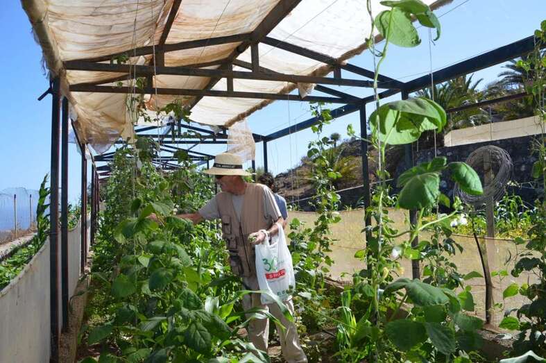 La actividad se impartirá en la finca de El Viso (Foto TA)