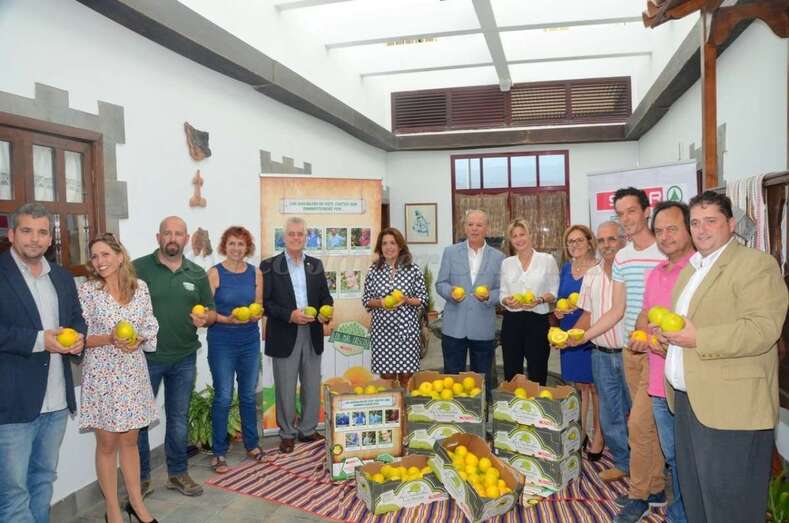 La presentación del nuevo convenio tuvo lugar este mediodía en la sede de Spar en El Goro (Foto Francisco Javier Santana)