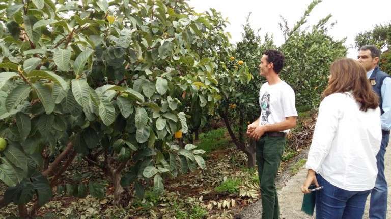 La alcaldesa de Telde, de espalda, visitó días atrás la finca (Foto TA)