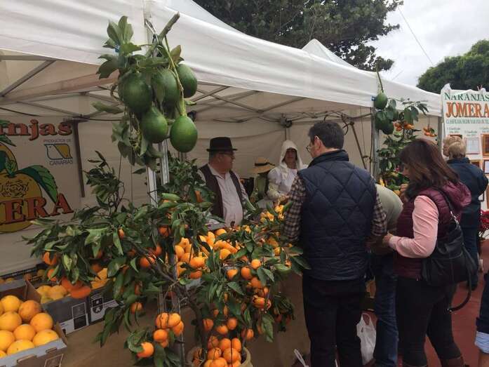 La feria de este domingo en el parque urbano de San Juan (Foto TA)