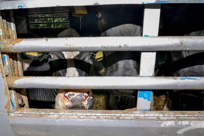 El curso se impartirá el 22 y 23 de marzo en La Pardilla (Foto TA)