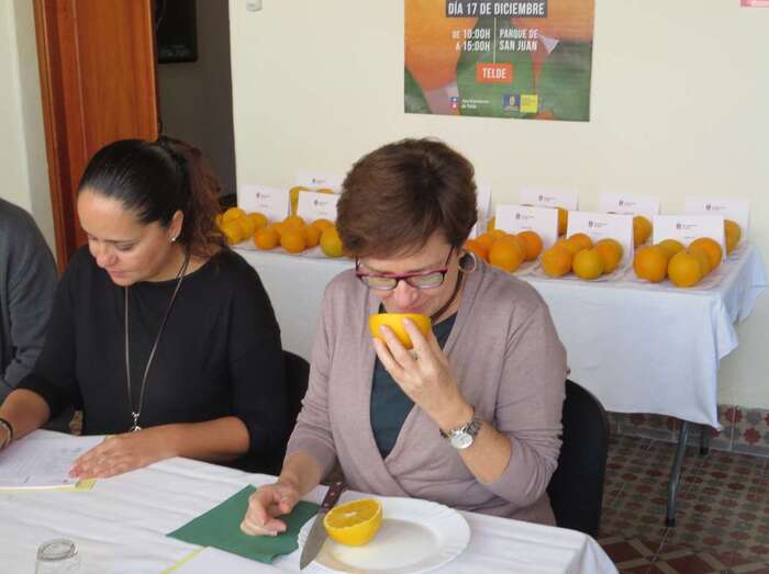 Imagen de archivo de la cata del pasado año (Foto TA)