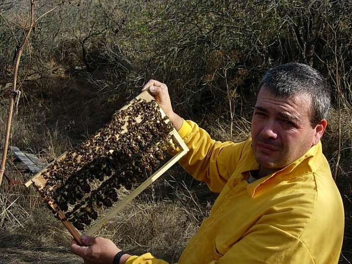 El apicultor teldense Manuel Valido (Foto TA)
