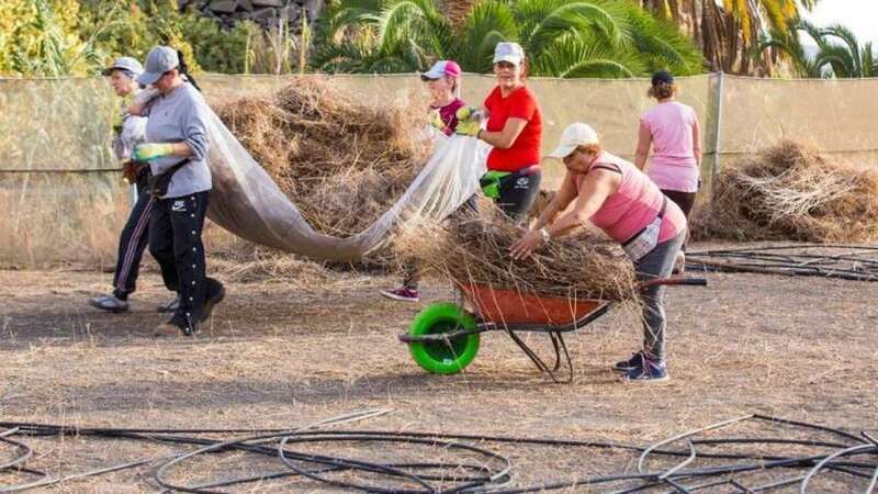 Imagen de archivo de una edición anterior del programa ZRD (Foto Canarias7)