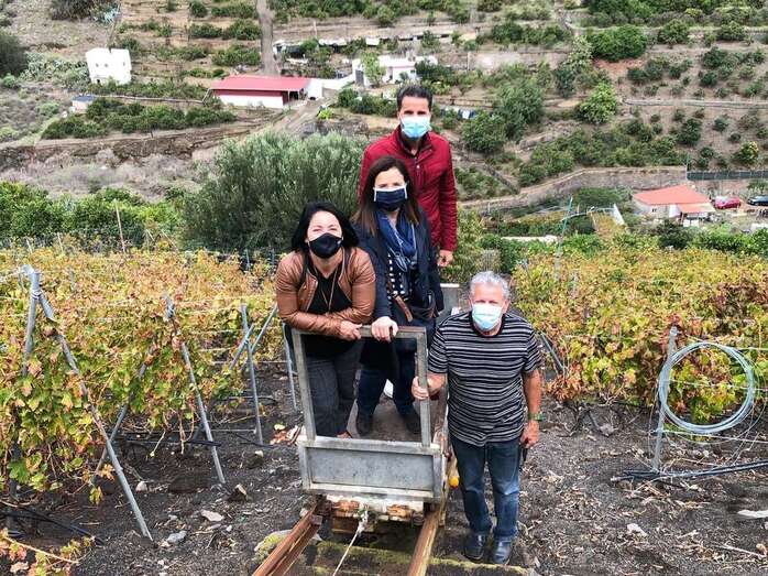 Un tren ayuda en la recolección de las uvas (Foto TA)
