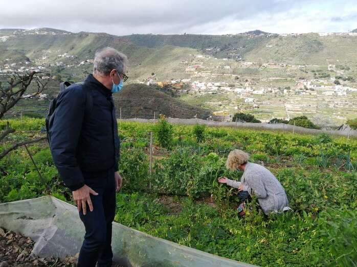 La concejala de Agricultura, Auri Saavedra, en la finca El Viso/TA.