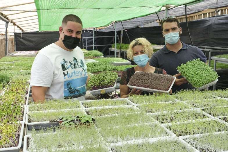 José Suárez, Auri Saavedra y Daniel Rodríguez / COBER