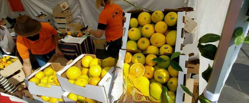 Naranjas de la Finca Don Tomás a la venta en la feria/Jesús Ruiz Mesa.