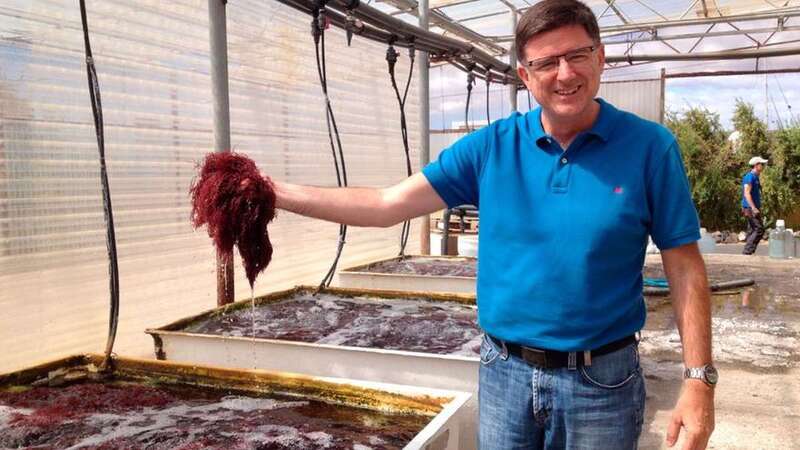 Juan Luis Gómez Pinchetti / TA