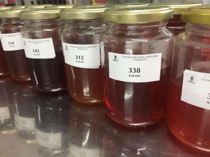Imagen de archivo de un concurso de mieles en Gran Canaria / TA